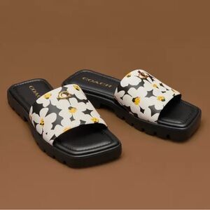 Coach Florence Slide Sandal